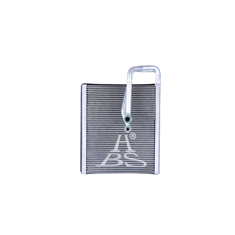 Evaporator For A2978301401